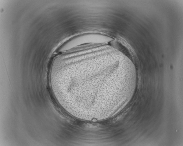 X0000086050346200704202041