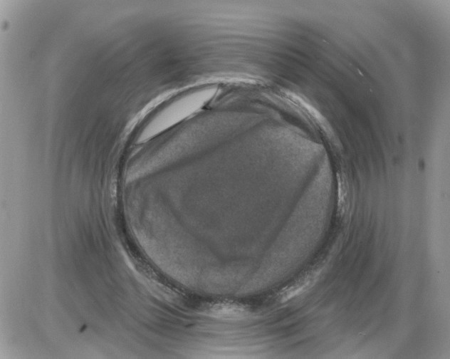 X0000086050348200704202041