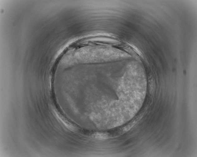 X0000086050350200704202041