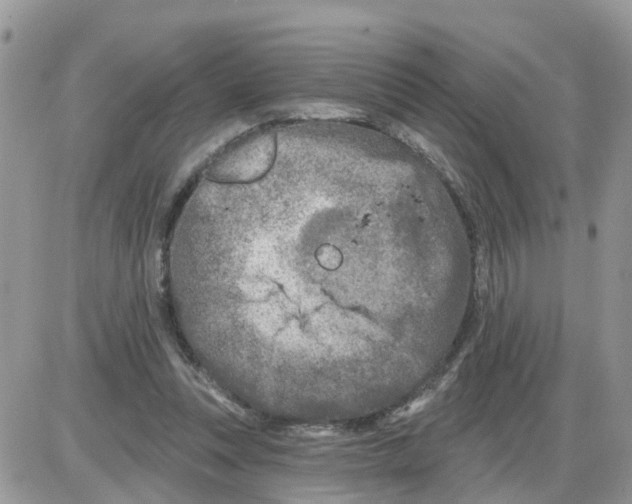 X0000086050351200704202041