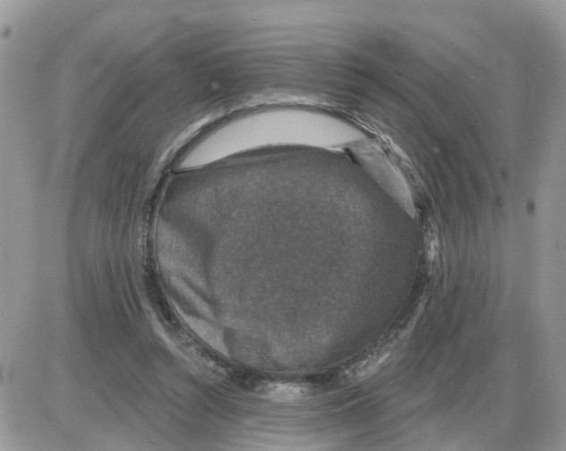 X0000086050352200704202041