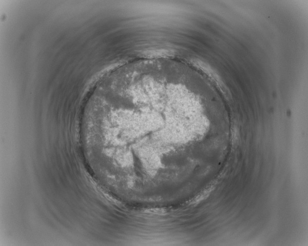 X0000086050353200704202041