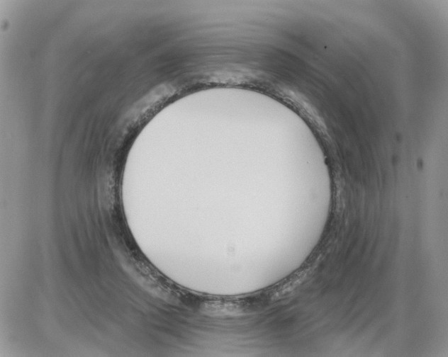 X0000086050354200704202041