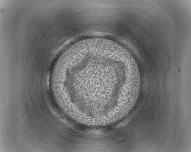 X0000086050358200704202042