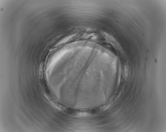 X0000086050360200704202042