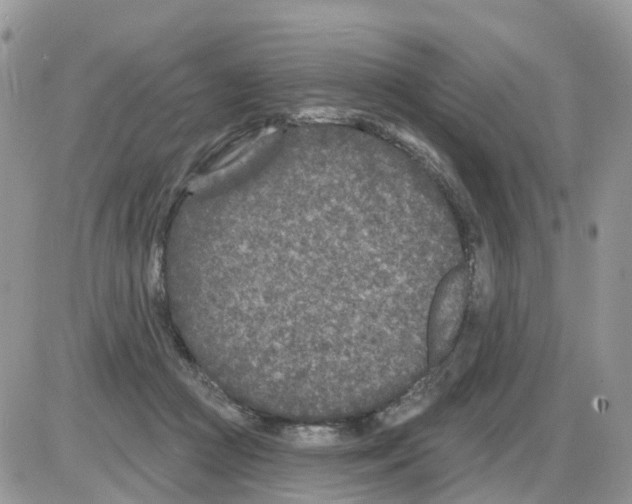 X0000086050361200704202042