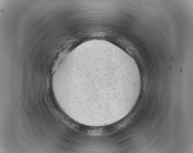 X0000086050362200704202042