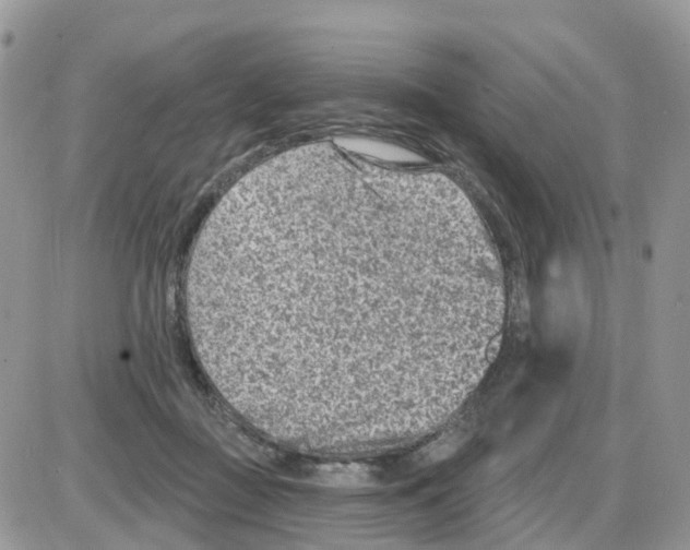 X0000086050363200704202042