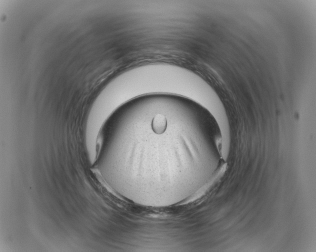 X0000086050364200704202042