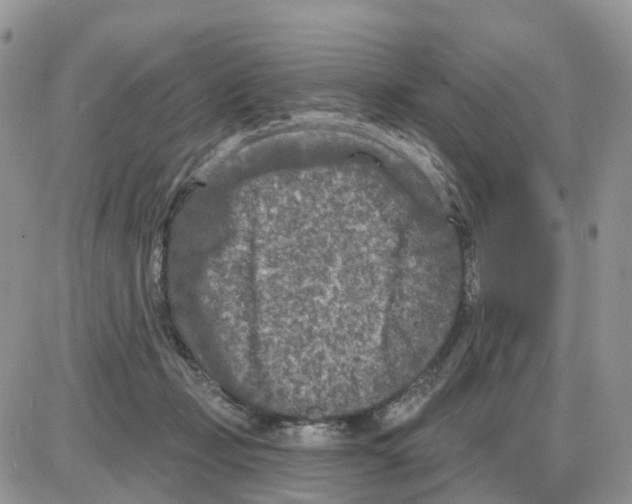 X0000086050365200704202042