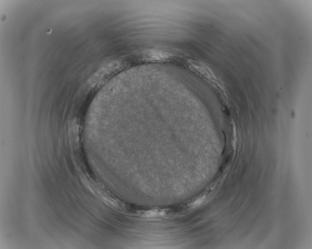 X0000086050366200704202042