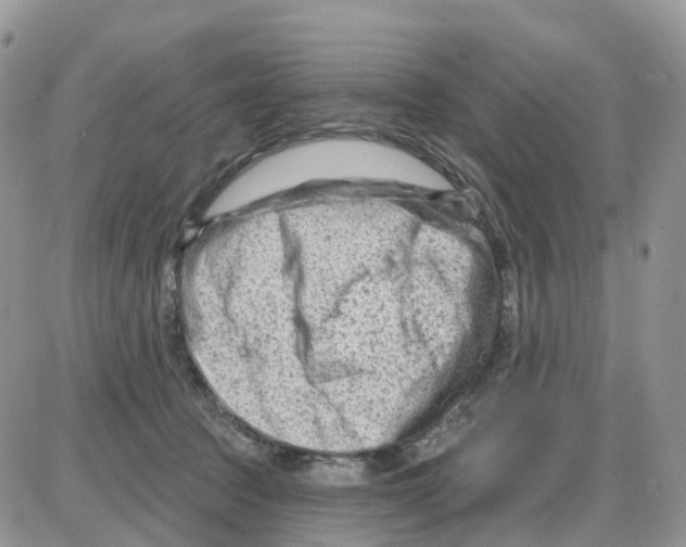 X0000086050369200704202042