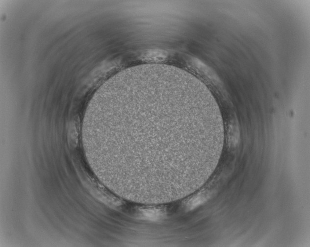 X0000086050370200704202042