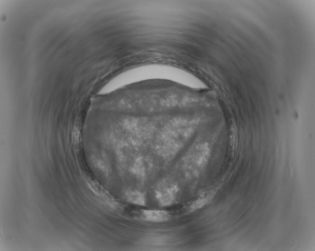 X0000086050371200704202042