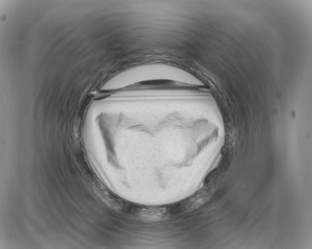 X0000086050373200704202042