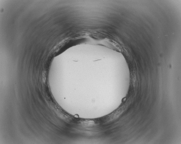 X0000086050374200704202042