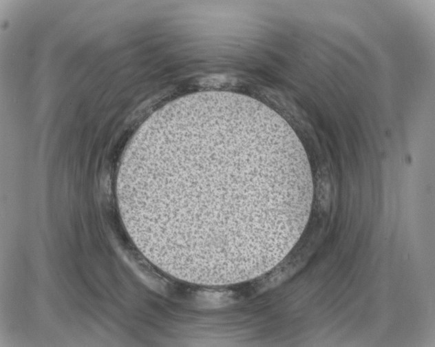 X0000086050375200704202042