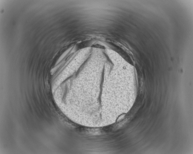 X0000086050377200704202042