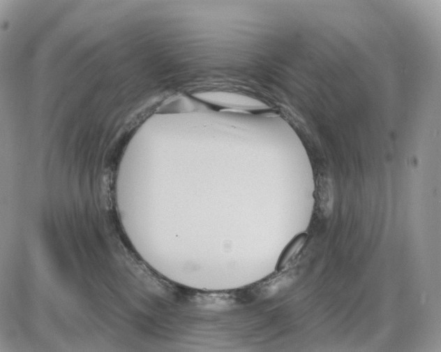 X0000086050378200704202042