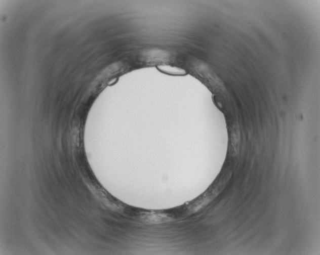 X0000086050379200704202042