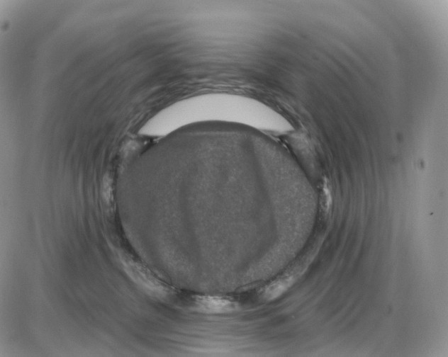 X0000086050380200704202042