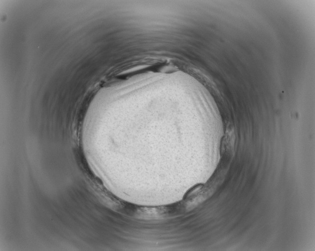 X0000086050381200704202042