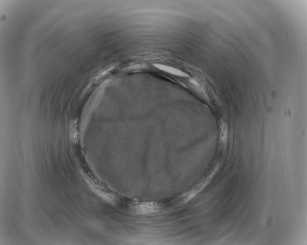 X0000086050383200704202042