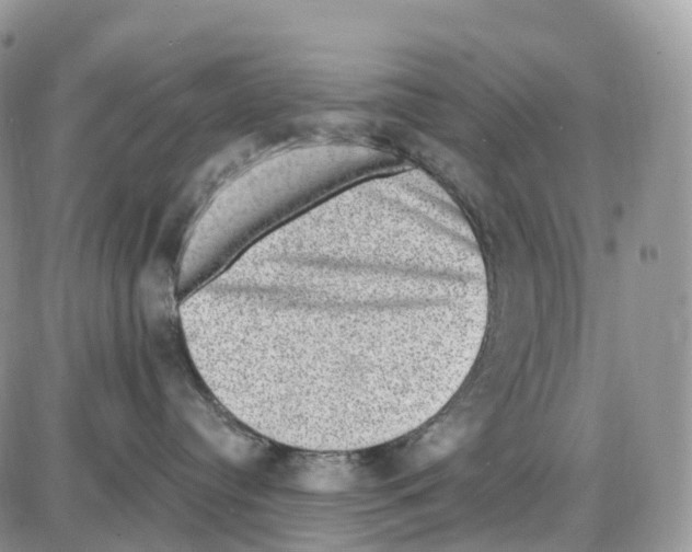 X0000086050384200704202042