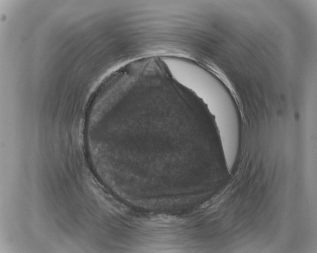 X0000086050387200704202041