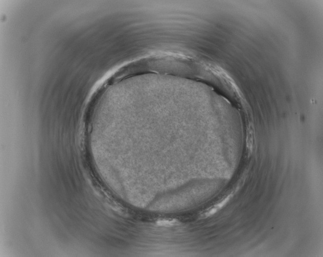 X0000086050388200704202041