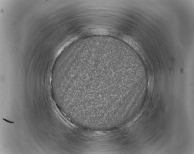 X0000086050390200704202041