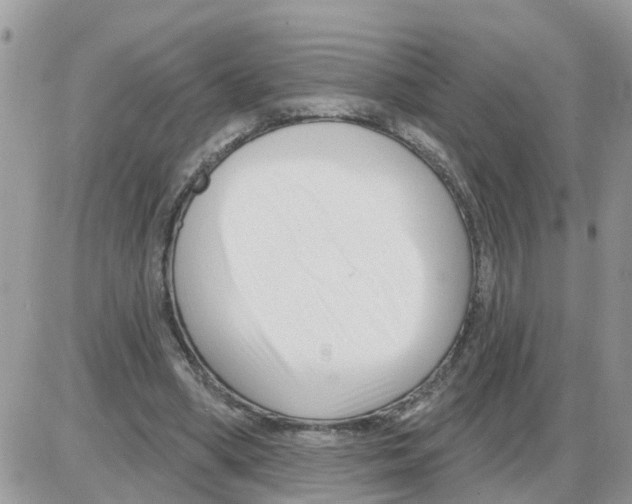 X0000086050394200704202041