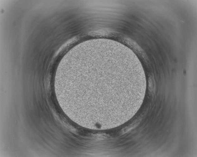 X0000086050396200704202041