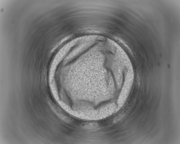 X0000086050398200704202041