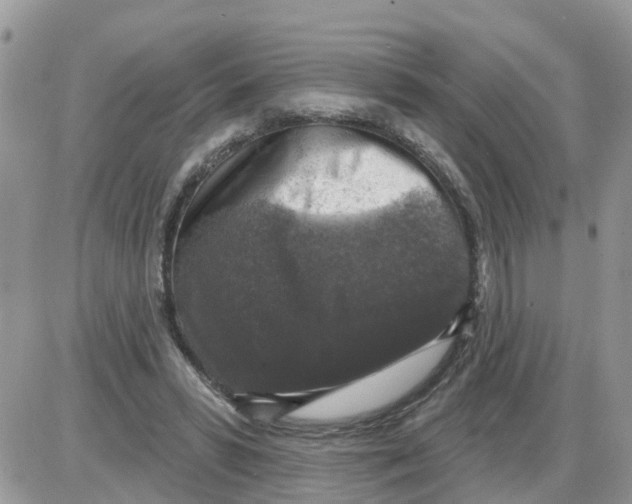 X0000086050399200704202041