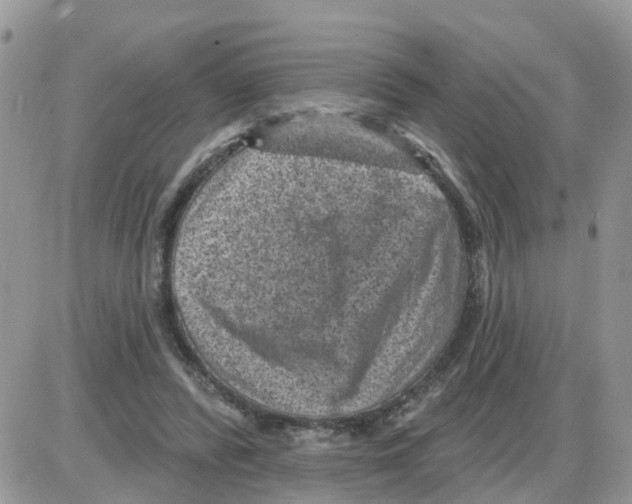 X0000086050400200704202041