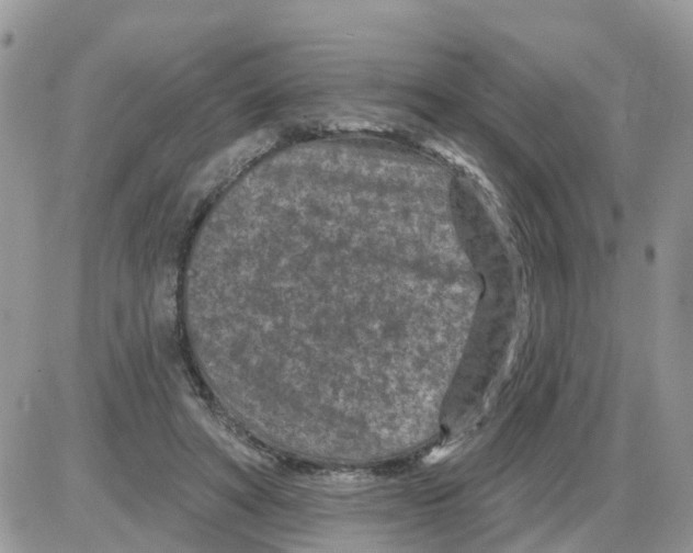 X0000086050402200704202041