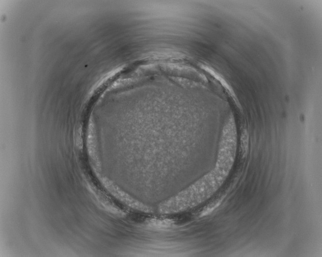 X0000086050403200704202041