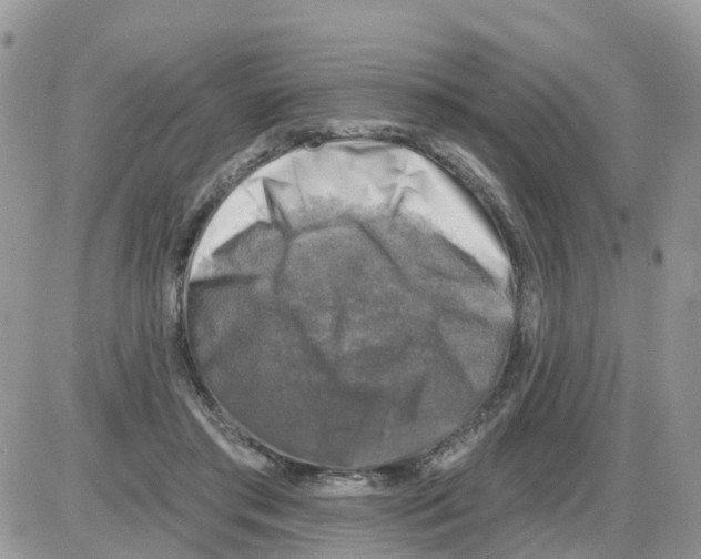 X0000086050405200704202041