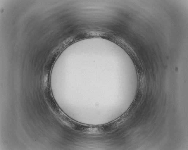 X0000086050406200704202041