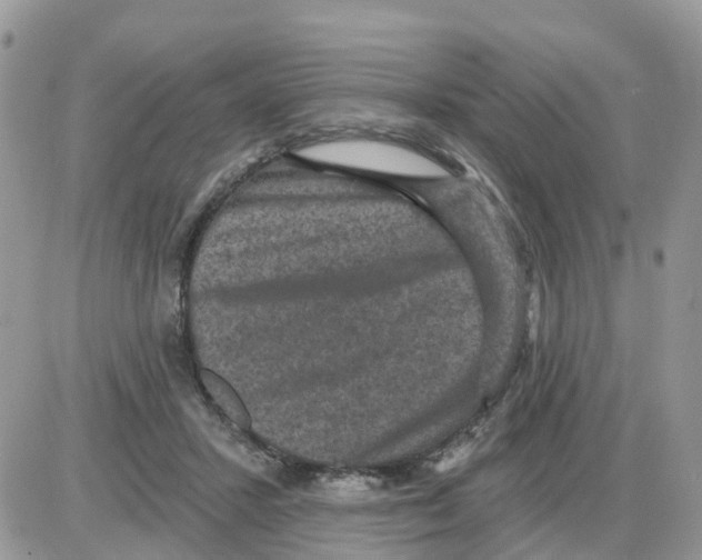 X0000086050407200704202041