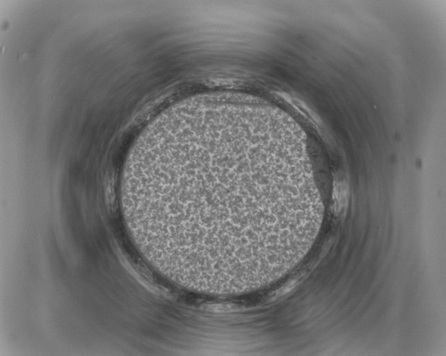 X0000086050408200704202041