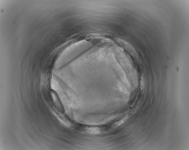 X0000086050409200704202041