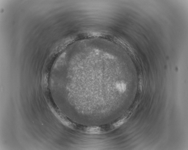 X0000086050410200704202041