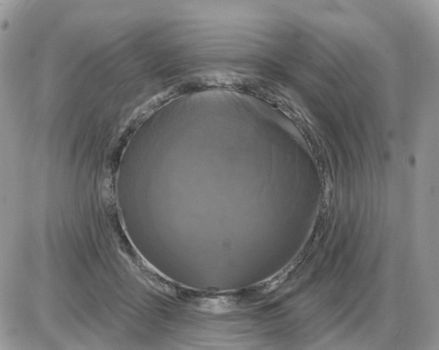 X0000086050411200704202041