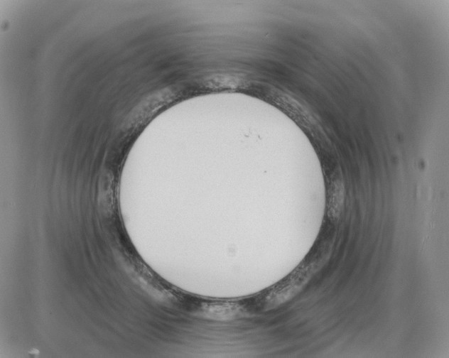 X0000086050414200704202041