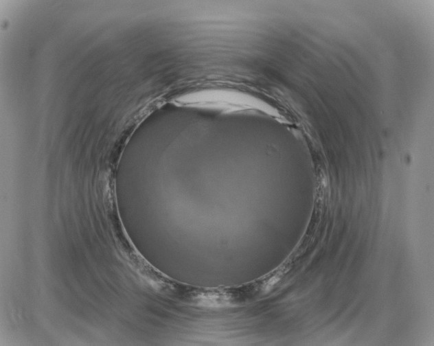 X0000086050415200704202041