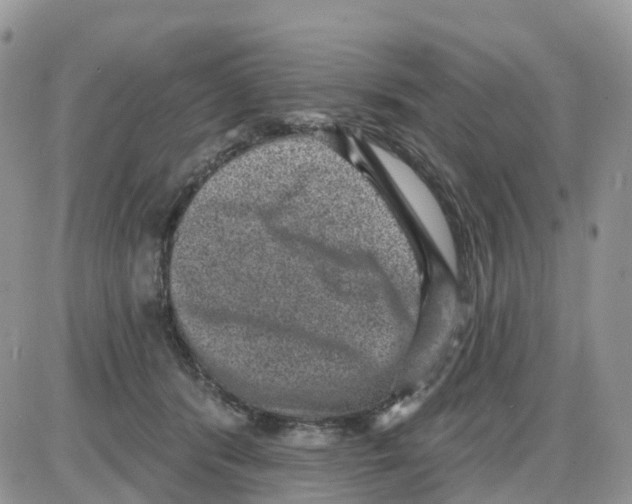 X0000086050416200704202041