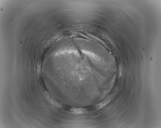 X0000086050417200704202041