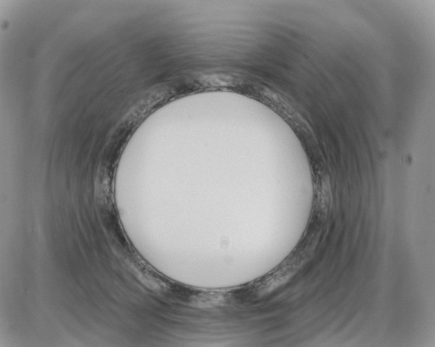 X0000086050418200704202041